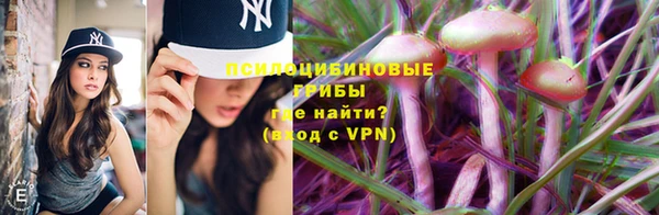 соль ск Аркадак