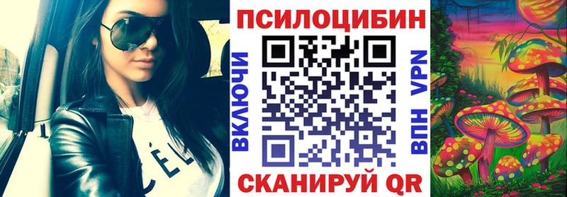 цена   Суровикино  Псилоцибиновые грибы Psilocybine cubensis 